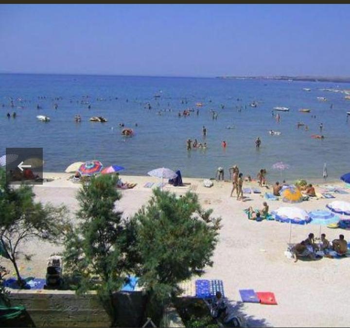 Apartments Vir Apartments Luka