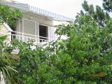 5 minutes walk from the center of Selca, and the beach is a modern apartment, consisting of a kitchen...