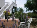 The apartment is located in Maslinica on the island of Solta, in a quiet area surrounded by greenery...