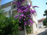 The facility is located 30 meters from the beach in a place they call the city kopakabana Togir. The...