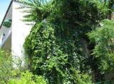 Dear guests, our house is situated in the center of Makarska, is only 2-3 minutes. walk from the beautiful...