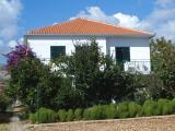 Comfortable, quiet and affordable apartments in the center of Seget, seafront, 2 km from Trogir, 1 mile...