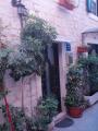 Nikolina apartment is located in the center of the old town of Trogir. Object of is located 50 yards...