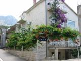 Surrounded by orange, lemon and flowers are our apartments in which you will enjoy and spend a well-...