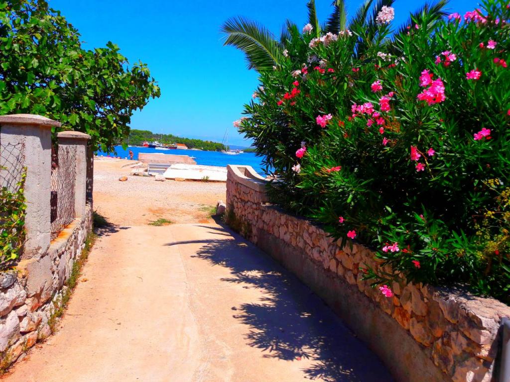 Apartments Pašman - Apartments Baleno Vila Sabina | Direct-Croatia.com